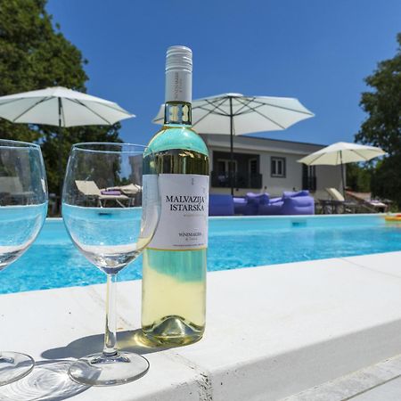 Luxury Villa Cetiri Hrasta Pican Luaran gambar